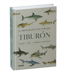 Tiburón