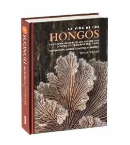 La vida de los hongos